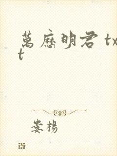 万历明君 txt封面