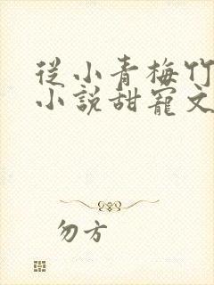 从小青梅竹马的小说甜宠文