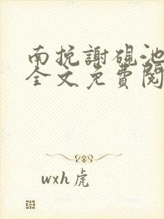 南挽谢砚池小说全文免费阅读