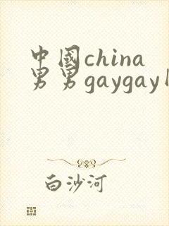 中国china男男gaygay网站封面