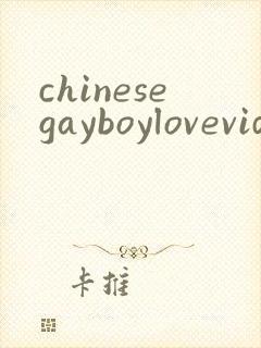 chinesegayboylovevideo