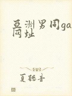 亚洲男同gay网址