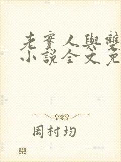 老实人与双胞胎小说全文免费阅读