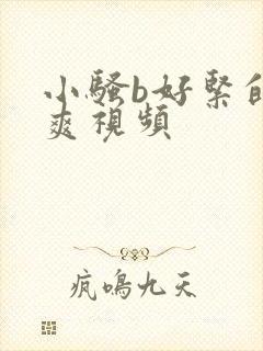 小骚b好紧的好爽视频