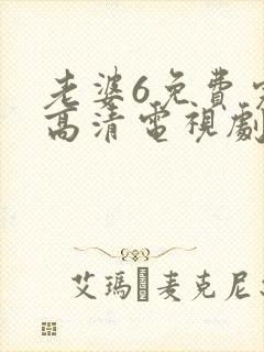 老婆6免费完整高清电视剧在线观看