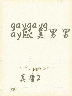 gaygaygay欧美男男无套