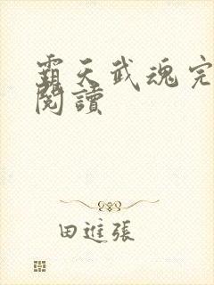 霸天武魂完整版阅读封面