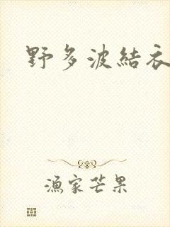 野多波结衣