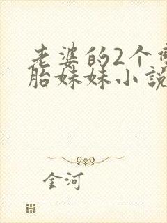 老婆的2个双胞胎妹妹小说
