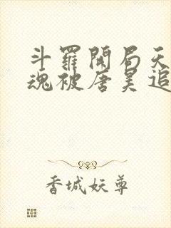 斗罗开局天使武魂被唐昊追杀下载