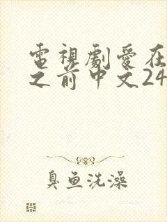 电视剧爱在日落之前中文24集