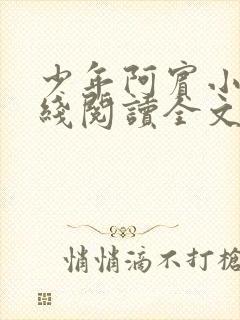 少年阿宾小说在线阅读全文免费阅读