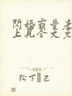 闪婚霸爱老婆晚上见全文免费阅读霸宠妻无度