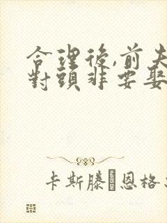 合理后,前夫死对头非要娶我