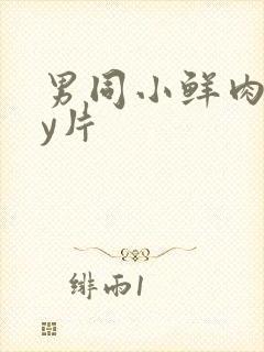 男同小鲜肉gay片封面