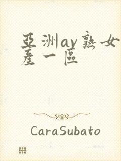 亚洲av熟女国产一区