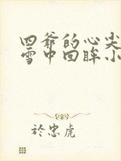 四爷的心尖宠妃雪中回眸小说