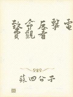 致命反击电影免费观看