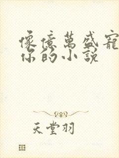 像亿万盛宠只为你的小说