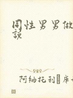 同性男男做爰小说封面