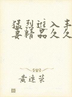 猛烈进入丰满人妻精品久久久