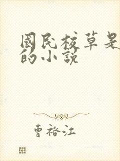 国民校草是女生的小说