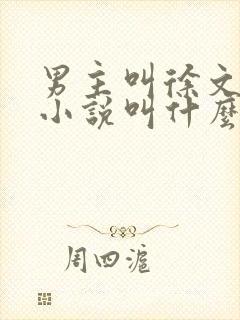 男主叫徐文东的小说叫什么名字封面