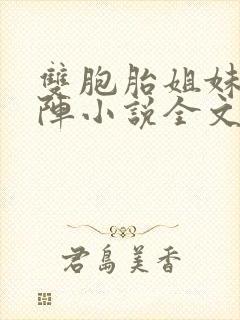 双胞胎姐妹齐上阵小说全文阅读