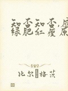 知否知否,应是绿肥红瘦原著小说