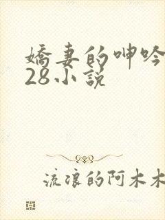 娇妻的呻吟1—28小说