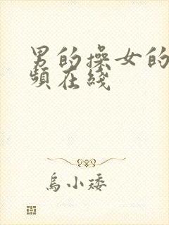 男的操女的的视频在线