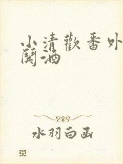 小清欢番外篇+哄酒