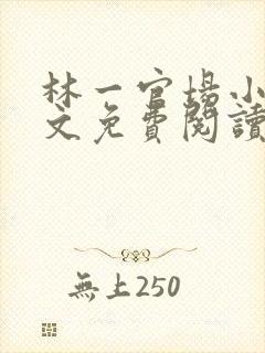 林一官场小说全文免费阅读封面