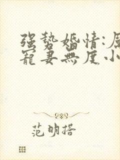 强势婚情:厉总宠妻无度小说