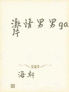 激情男男gay片封面