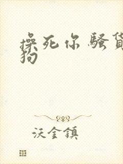 操死你 骚货母狗封面