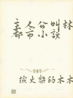 主人公叫林默的都市小说