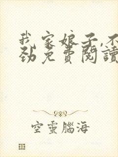 我家娘子,不对劲免费阅读无弹窗封面