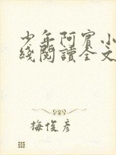 少年阿宾小说在线阅读全文无删减封面