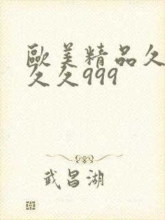 欧美精品久久久久久999