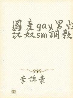 国产gay男性玩奴sm调教视频
