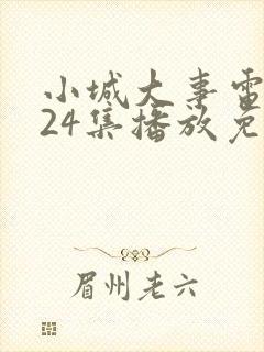 小城大事电视剧24集播放免费观看