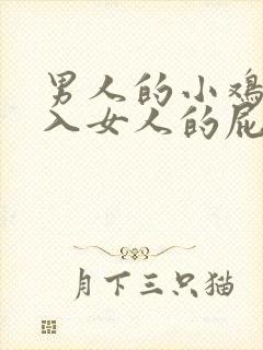 男人的小鸡鸡插入女人的屁股里视频