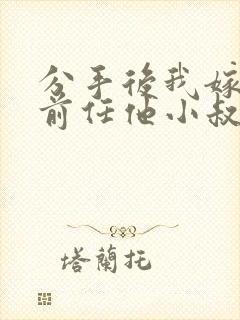 分手后我嫁给了前任他小叔小说