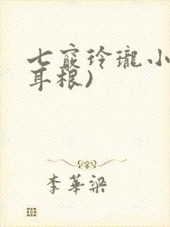 七窍玲珑小说(耳根)