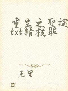 重生之圣途风流txt精校版