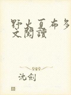 野火夏布多昂全文阅读封面