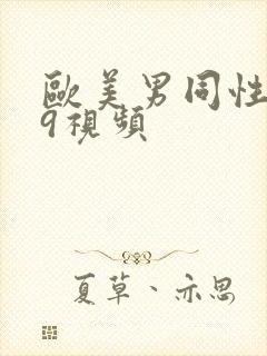 欧美男同性恋69视频