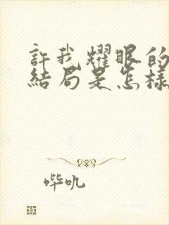 许我耀眼的剧情结局是怎样的封面