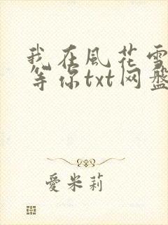 我在风花雪月里等你txt网盘封面